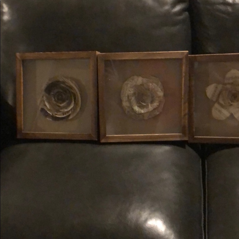 GUC paper flower pictures..